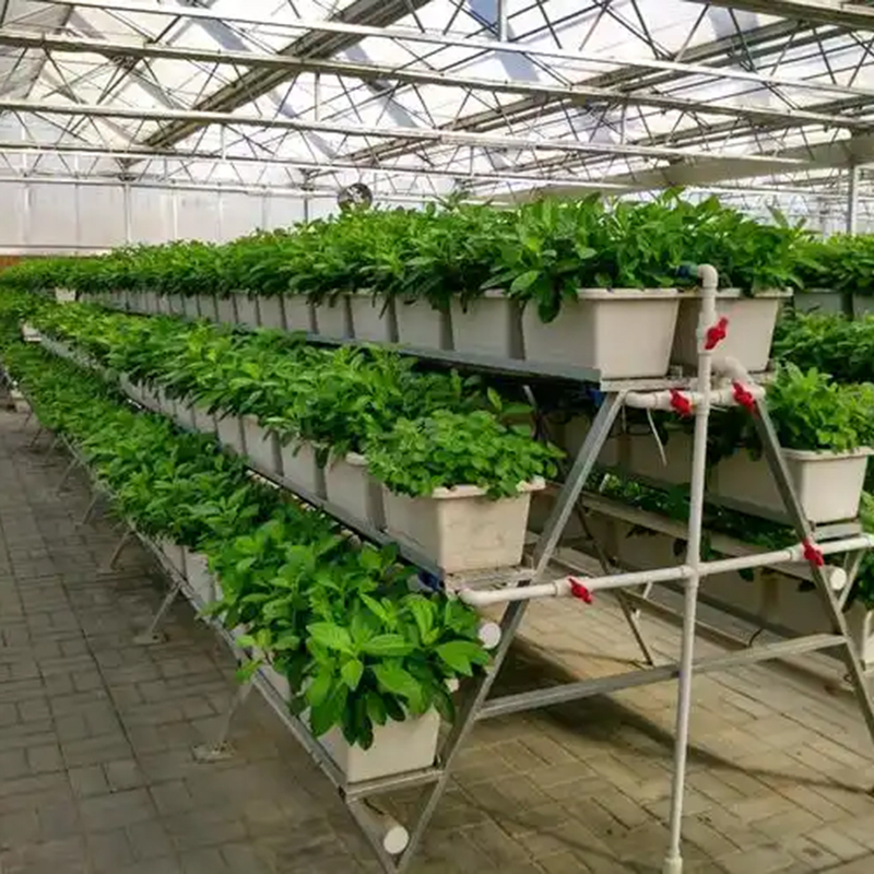 苏州市植物工厂蔬菜大棚 - 排名