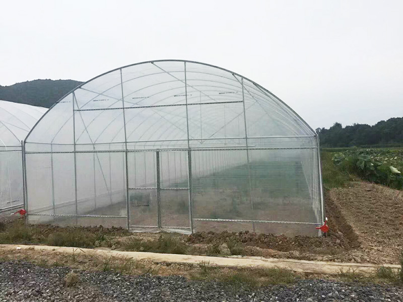苏州市薄膜大棚蔬菜大棚 - 一站式服务